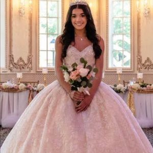 Sweet Sixteen Gown/Prom/Wedding Dress